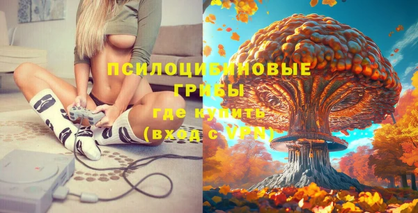 ПСИЛОЦИБИНОВЫЕ ГРИБЫ Карталы