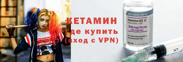 сатива Карпинск