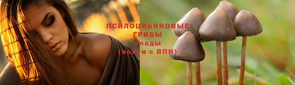 ПСИЛОЦИБИНОВЫЕ ГРИБЫ Карталы