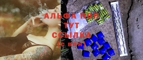 сатива Карпинск