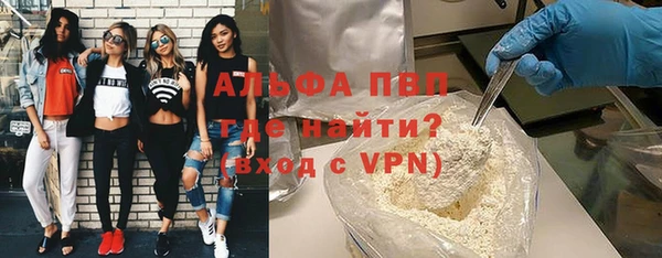 сатива Карпинск