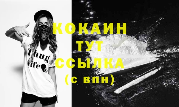 ПСИЛОЦИБИНОВЫЕ ГРИБЫ Карталы