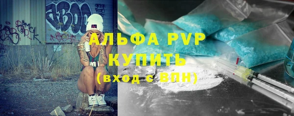 сатива Карпинск
