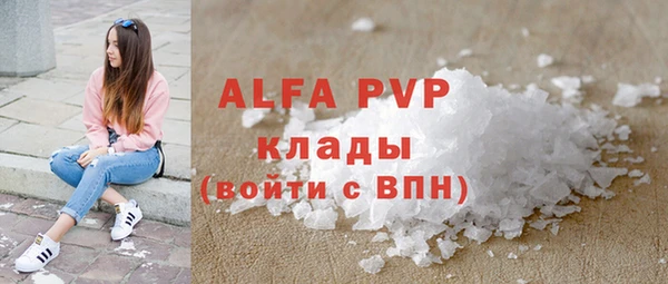 сатива Карпинск